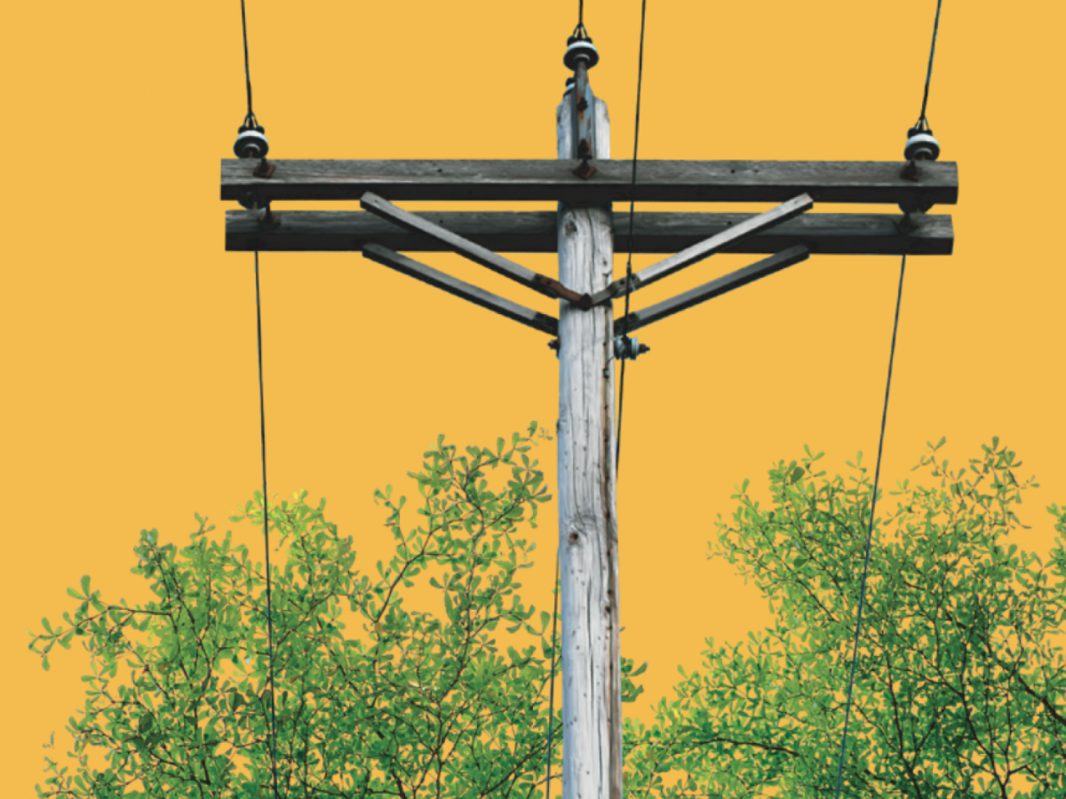 Electrical power line running through leaves on a tree